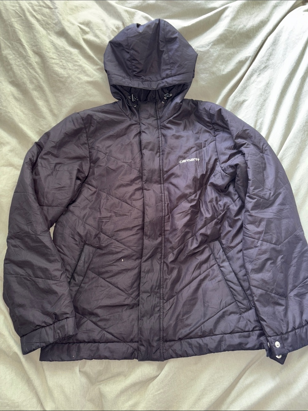 Carhartt Men's Hooded Puffer Jacket in Black